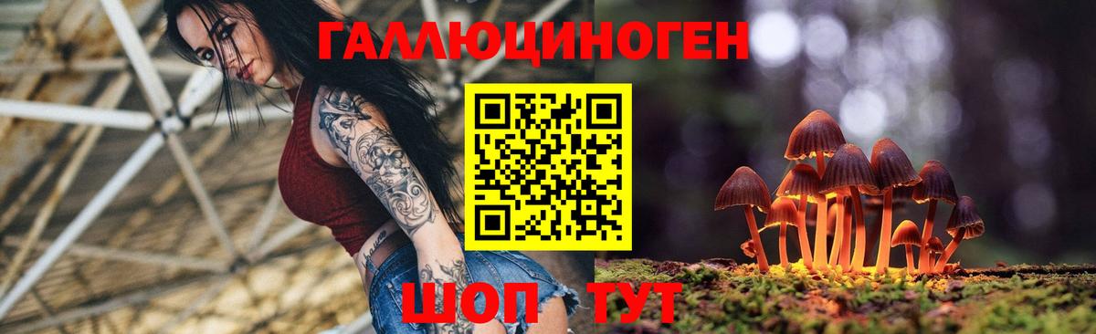 Псилоцибиновые грибы Psilocybe  Вход с VPN  Псилоцибиновые грибы мицелий  Мичуринск 